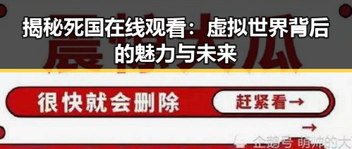 揭秘死国在线观看:虚拟世界背后的魅力与未来