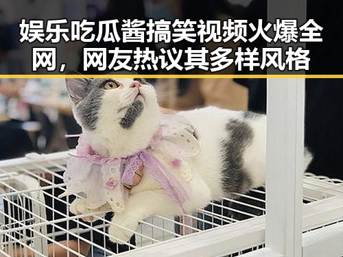 娱乐吃瓜酱搞笑视频火爆全网，网友热议其多样风格