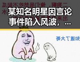 某知名明星因言论事件陷入风波，网络暴力引发热议