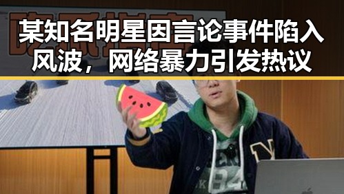 某知名明星因言论事件陷入风波，网络暴力引发热议